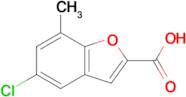 5-Chloro-7-methylbenzofuran-2-carboxylic acid