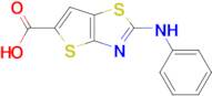 2-(Phenylamino)thieno[2,3-d]thiazole-5-carboxylic acid