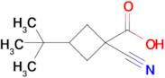 3-(Tert-butyl)-1-cyanocyclobutane-1-carboxylic acid