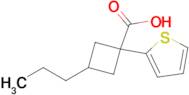 3-Propyl-1-(thiophen-2-yl)cyclobutane-1-carboxylic acid