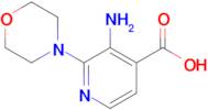 3-Amino-2-morpholinoisonicotinic acid