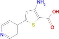 3-Amino-5-(pyridin-4-yl)thiophene-2-carboxylic acid