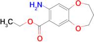 Ethyl 8-amino-3,4-dihydro-2h-benzo[b][1,4]dioxepine-7-carboxylate