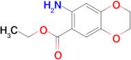 Ethyl 7-amino-2,3-dihydrobenzo[b][1,4]dioxine-6-carboxylate