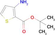 Tert-butyl 3-aminothiophene-2-carboxylate