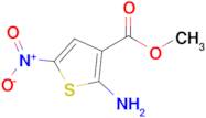 Methyl 2-amino-5-nitrothiophene-3-carboxylate