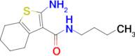 2-Amino-N-butyl-4,5,6,7-tetrahydrobenzo[b]thiophene-3-carboxamide