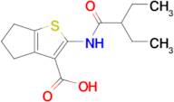 2-(2-Ethylbutanamido)-5,6-dihydro-4h-cyclopenta[b]thiophene-3-carboxylic acid