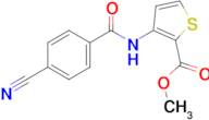 Methyl 3-(4-cyanobenzamido)thiophene-2-carboxylate