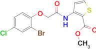 Methyl 3-(2-(2-bromo-4-chlorophenoxy)acetamido)thiophene-2-carboxylate