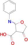 4-oxo-2-(phenylimino)oxolane-3-carboxylic acid