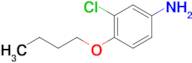 4-Butoxy-3-chloroaniline