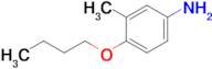 4-Butoxy-3-methylaniline