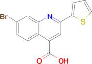 7-Bromo-2-(thiophen-2-yl)quinoline-4-carboxylic acid