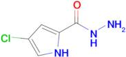 4-Chloro-1h-pyrrole-2-carbohydrazide