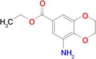 Ethyl 8-amino-2,3-dihydrobenzo[b][1,4]dioxine-6-carboxylate