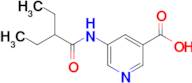 5-(2-Ethylbutanamido)nicotinic acid