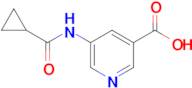 5-(Cyclopropanecarboxamido)nicotinic acid