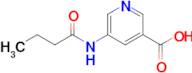 5-Butyramidonicotinic acid