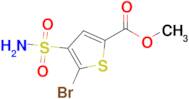 Methyl 5-bromo-4-sulfamoylthiophene-2-carboxylate