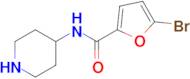 5-Bromo-N-(piperidin-4-yl)furan-2-carboxamide