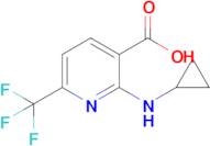 2-(Cyclopropylamino)-6-(trifluoromethyl)nicotinic acid