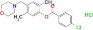 2,5-Dimethyl-4-(morpholinomethyl)phenyl 4-chlorobenzoate hydrochloride