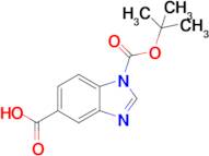 1-(Tert-butoxycarbonyl)-1h-benzo[d]imidazole-5-carboxylic acid