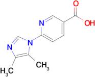 6-(4,5-Dimethyl-1h-imidazol-1-yl)nicotinic acid