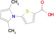 5-(2,5-Dimethyl-1h-pyrrol-1-yl)thiophene-2-carboxylic acid