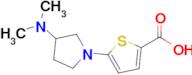 5-(3-(Dimethylamino)pyrrolidin-1-yl)thiophene-2-carboxylic acid