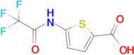 5-(2,2,2-Trifluoroacetamido)thiophene-2-carboxylic acid