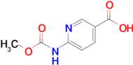 6-((Methoxycarbonyl)amino)nicotinic acid