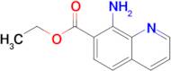 Ethyl 8-aminoquinoline-7-carboxylate