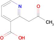 2-(2-Oxopropyl)nicotinic acid