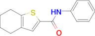 n-Phenyl-4,5,6,7-tetrahydrobenzo[b]thiophene-2-carboxamide