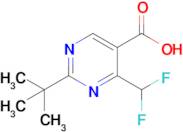 2-(Tert-butyl)-4-(difluoromethyl)pyrimidine-5-carboxylic acid