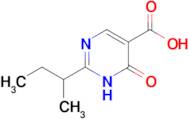 2-(Sec-butyl)-6-oxo-1,6-dihydropyrimidine-5-carboxylic acid