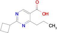 2-Cyclobutyl-4-propylpyrimidine-5-carboxylic acid