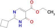 Ethyl 2-cyclobutyl-6-oxo-1,6-dihydropyrimidine-5-carboxylate