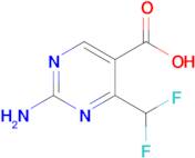 2-Amino-4-(difluoromethyl)pyrimidine-5-carboxylic acid