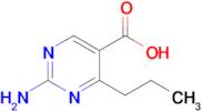 2-Amino-4-propylpyrimidine-5-carboxylic acid