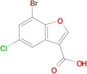 7-Bromo-5-chlorobenzofuran-3-carboxylic acid