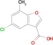 5-Chloro-7-methylbenzofuran-3-carboxylic acid