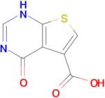 4-Oxo-1,4-dihydrothieno[2,3-d]pyrimidine-5-carboxylic acid