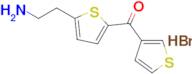 (5-(2-Aminoethyl)thiophen-2-yl)(thiophen-3-yl)methanone hydrobromide