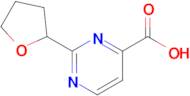 2-(Tetrahydrofuran-2-yl)pyrimidine-4-carboxylic acid