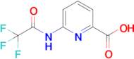 6-(2,2,2-Trifluoroacetamido)picolinic acid