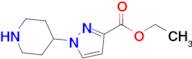 Ethyl 1-(piperidin-4-yl)-1h-pyrazole-3-carboxylate