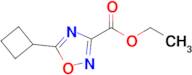 Ethyl 5-cyclobutyl-1,2,4-oxadiazole-3-carboxylate